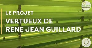 La microalgue en pondeuses, le défi de René Jean Guillard