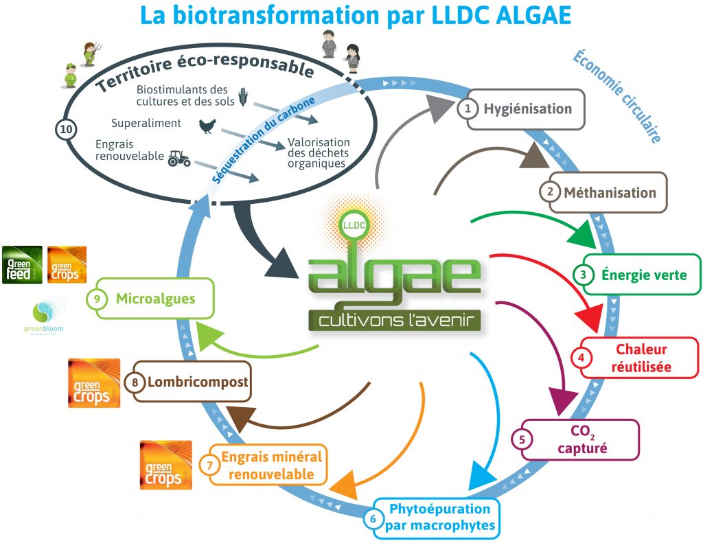 La Biotransformation par LLDC Algae