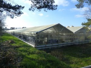 La mise en service de la ferme de microalgues à Plouguenast-Langast de nouveau retardée