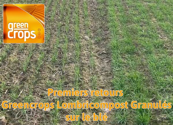 resultats essais 2022 ble greencrops lombricompost_gt ranlues