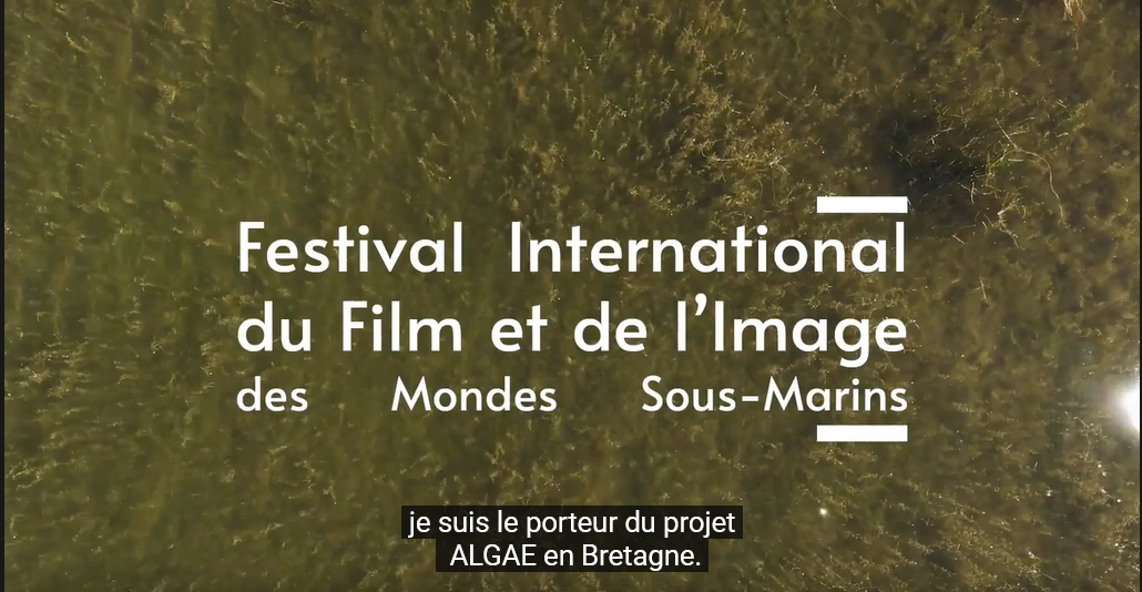 festival_monde_marin_LLDC_ALGAE_presentation